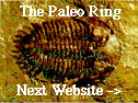 The Paleo Ring's Next
Website